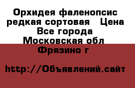 Орхидея фаленопсис редкая сортовая › Цена ­ 800 - Все города  »    . Московская обл.,Фрязино г.